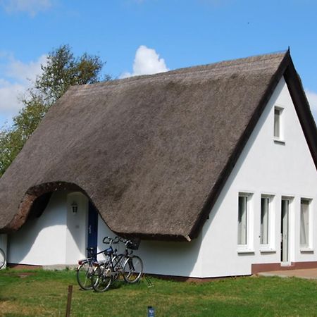 Doppelhaushaelfte In Vitte Auf Hiddensee Exterior foto